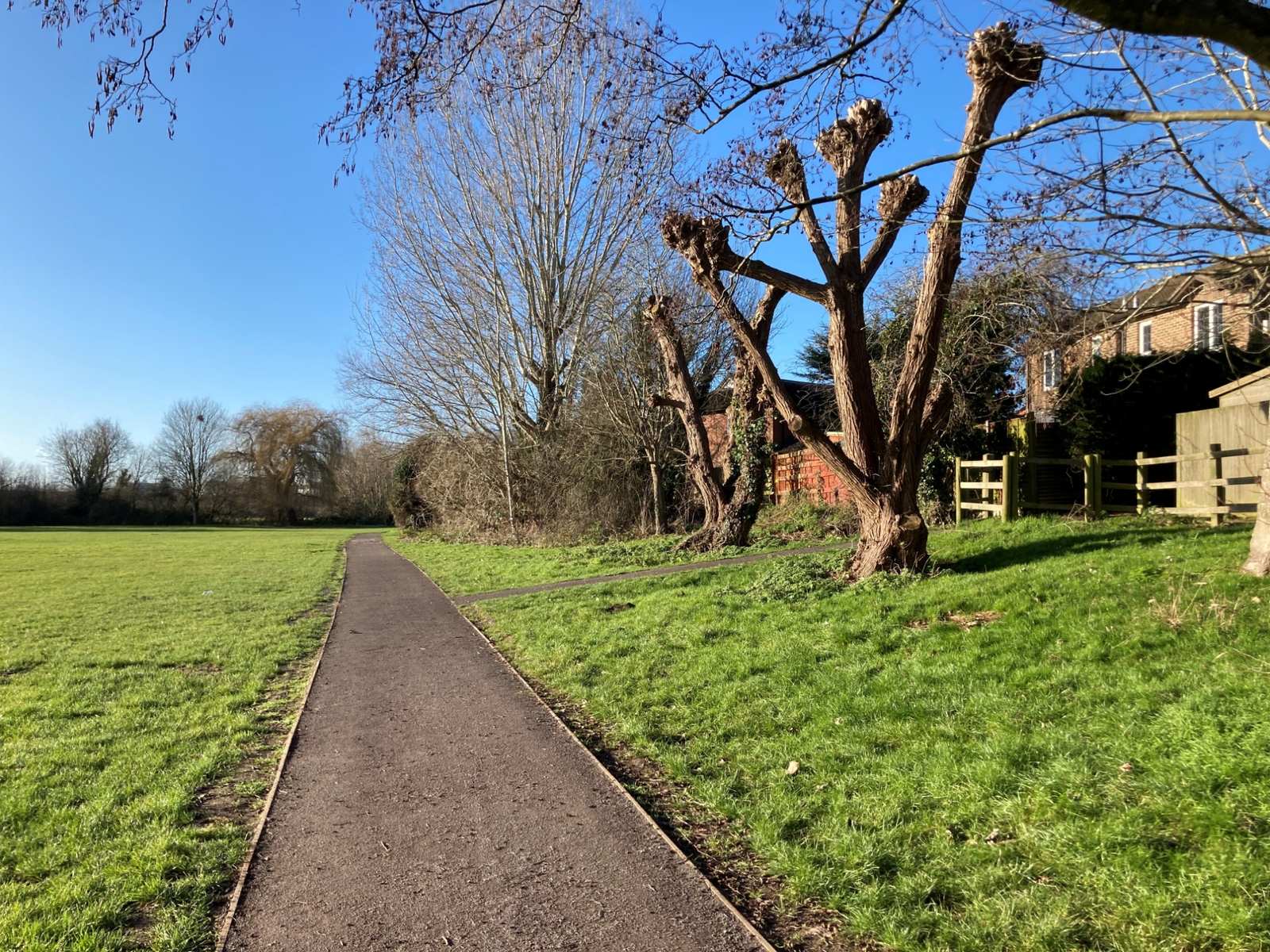 Sunny blue sky view over fields in Linear Park