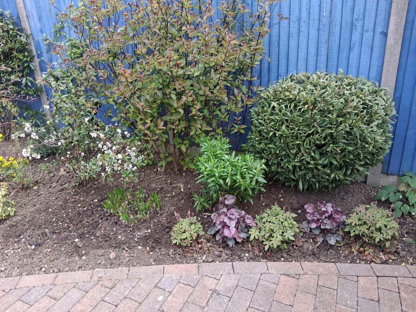 Colourful garden border beside fence