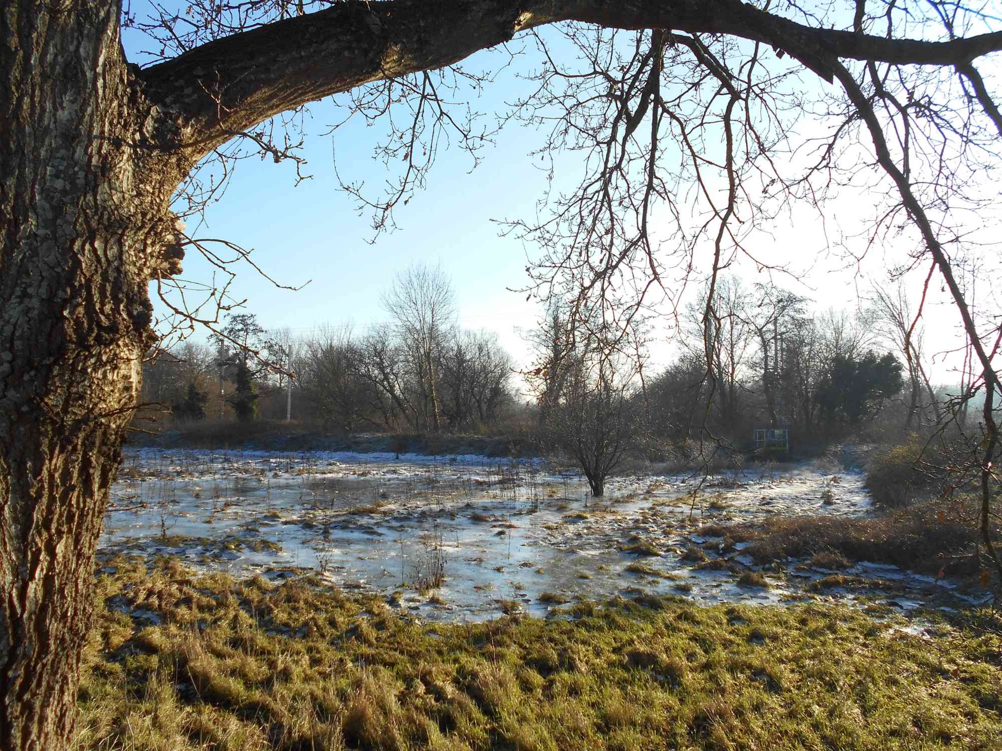 Winter reflection along the Holybrook