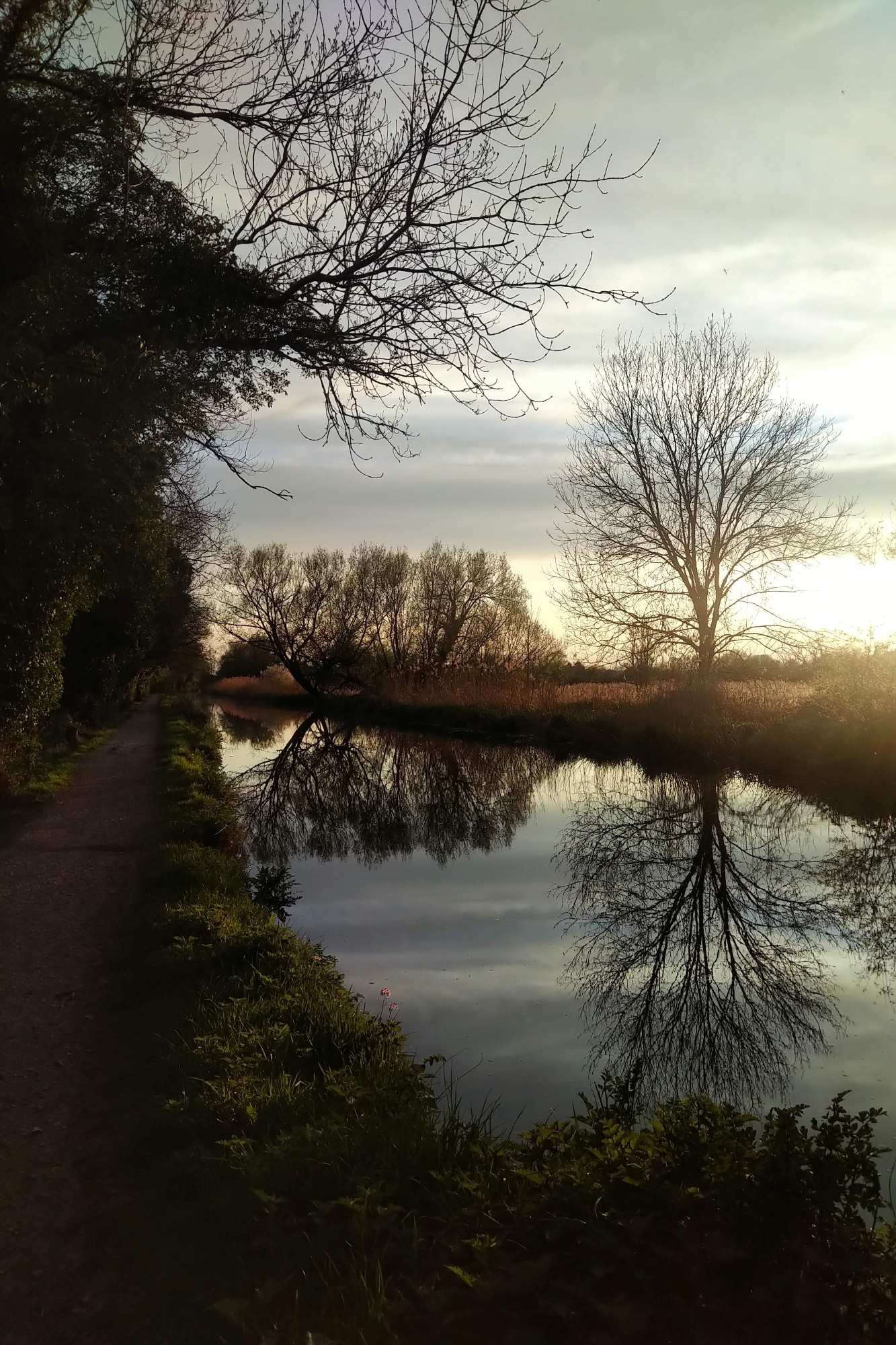 Sunset reflecting on water and trees