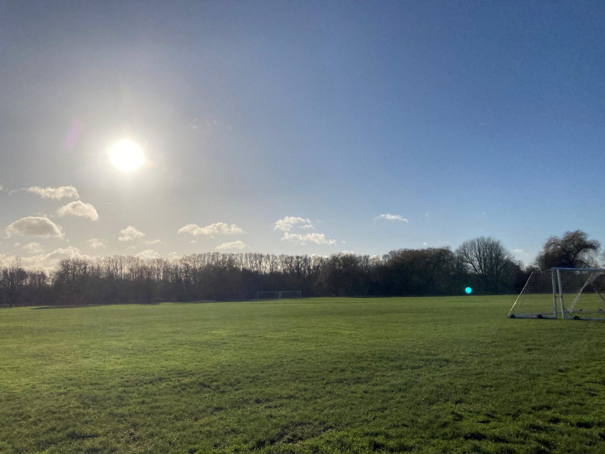 Bright winter sun over parkland 