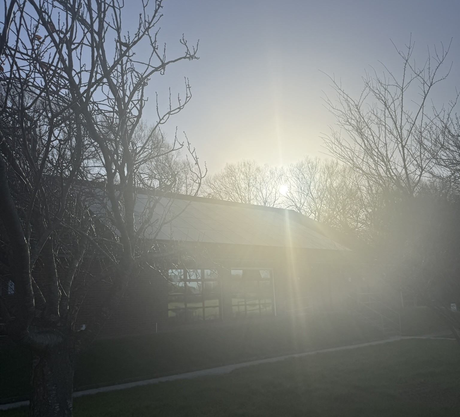 How living roofs and solar power are shaping Holybrook’s future