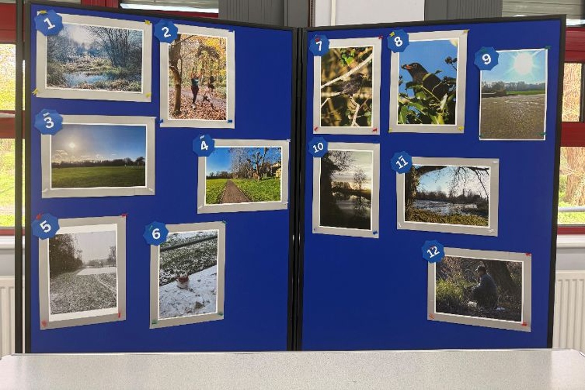 Photography entries display board